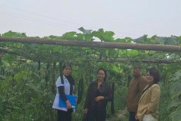 TRƯỜNG MN AN PHÚ A PHỐI HỢP KIỂM TRA CÁC CƠ SỞ CUNG CẤP THỰC PHẨM CHO NHÀ TRƯỜNG