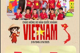 Hoạt động tuyên truyền kỷ niệm 80 cách mạng tháng tám, Quốc Khánh 2/9